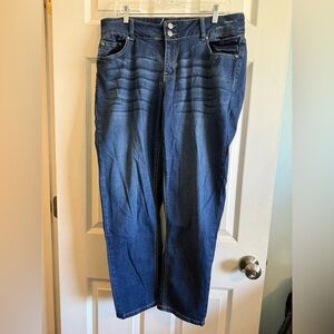 Lane Bryant Boyfriend Style Jeans